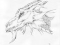 silvergrin.jpg